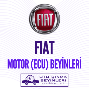 Fiat Motor Beyni