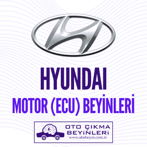 Hyundai Motor Beyni