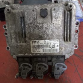 Expert, Partner, Jumpy Motor Beyni