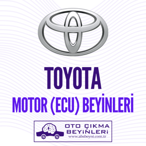 Toyota Motor Beyni